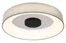 Bild 1 von LED-Deckenleuchte Terpsa max. 40 Watt Deckenlampe, Grau, Opal, Schwarz, Weiß, Chromfarben