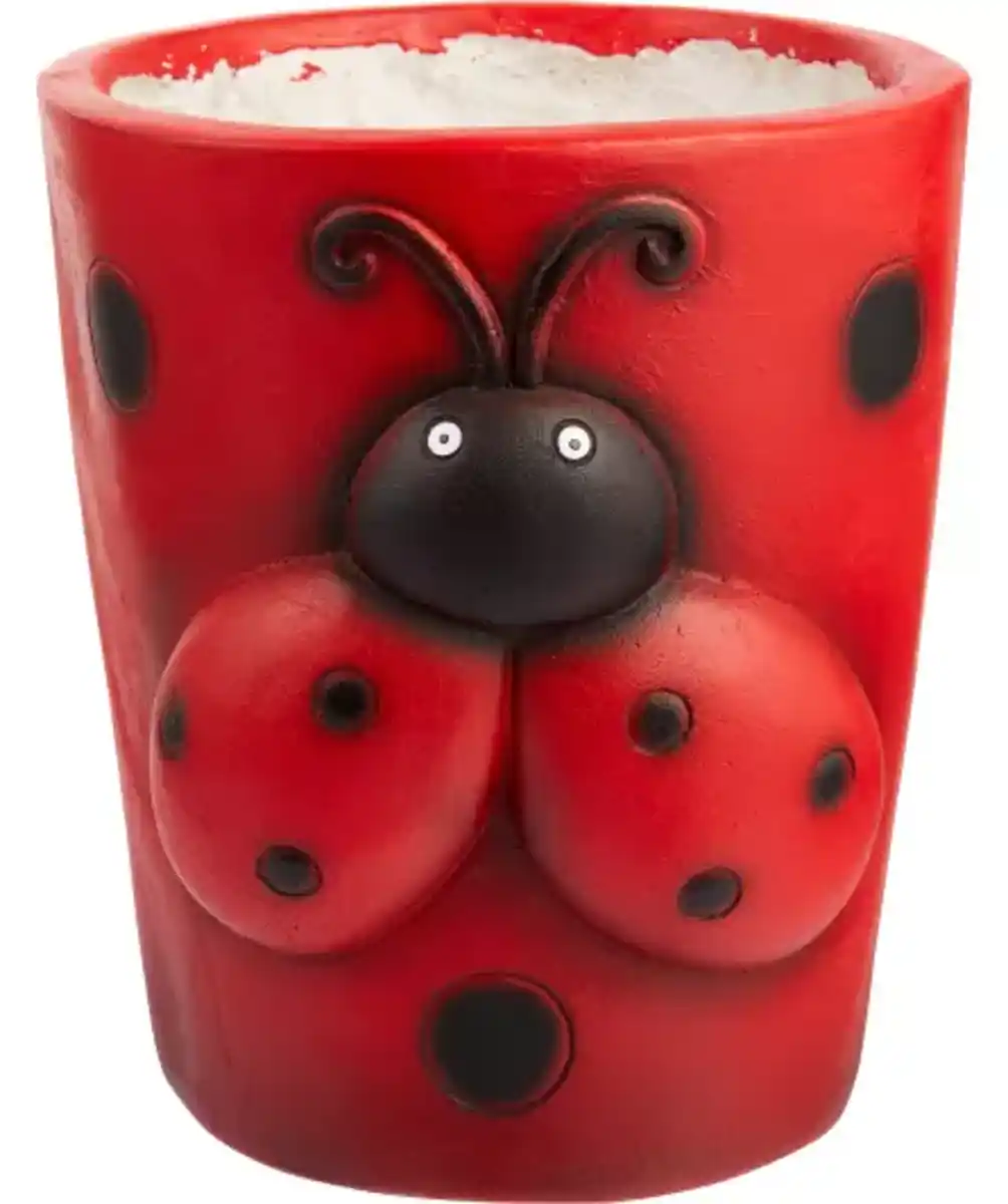 Bild 1 von Blumentopf Marienkäfer, rot
