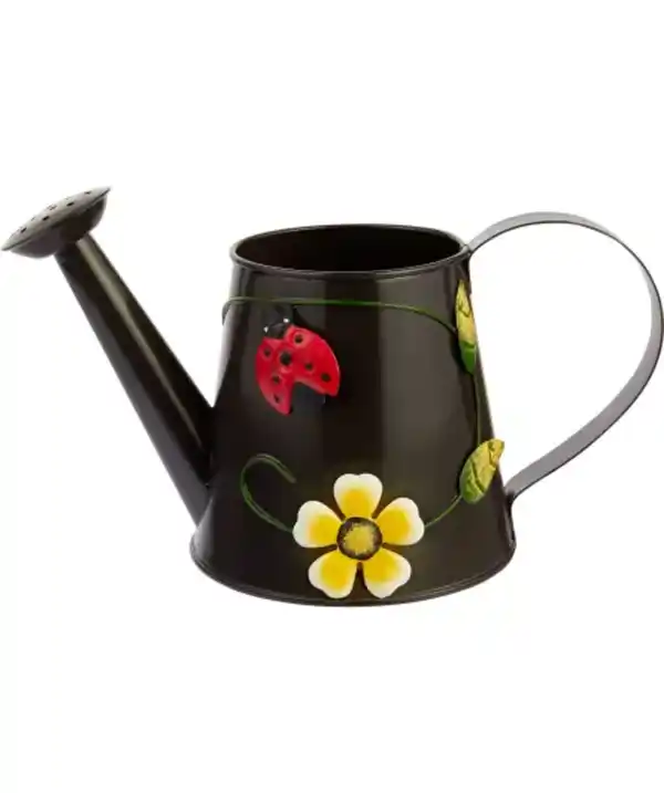 Bild 1 von Garten Deko-Gießkanne, braun