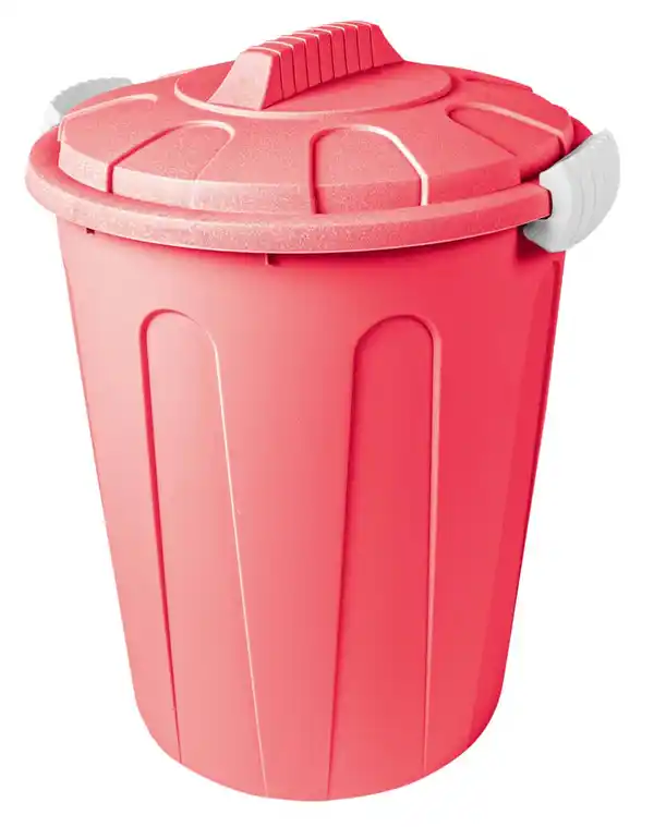 Bild 4 von Maxi-Tonne