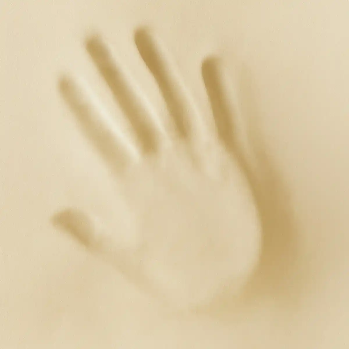 Bild 2 von Ortho-Vital Nacken-Stützkissen