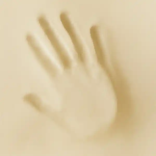 Bild 2 von Ortho-Vital Nacken-Stützkissen