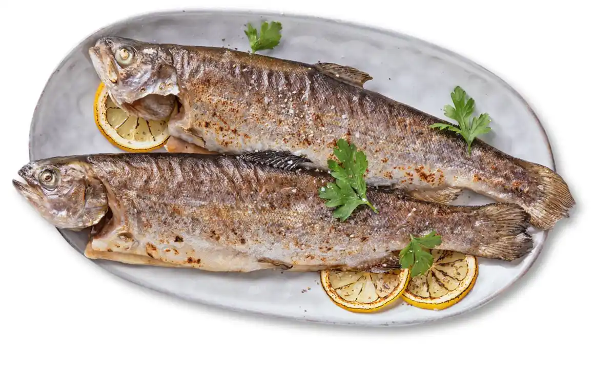 Bild 1 von K-BLUE BAY Regenbogenforelle, 2-St.-Packg.