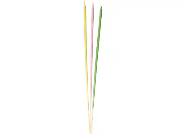 Bild 1 von Citronella Gartenfackel