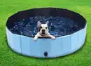 Bild 1 von Hundepool XL 120x30cm Blau