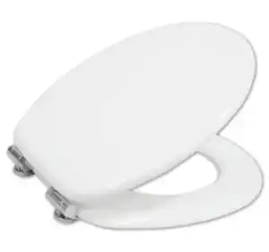 WC-Sitz*