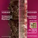 Bild 4 von ogx Shampoo Strength & Length & Keratin & Oil, 385 ml