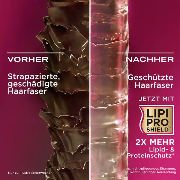 Bild 4 von ogx Shampoo Strength & Length & Keratin & Oil, 385 ml