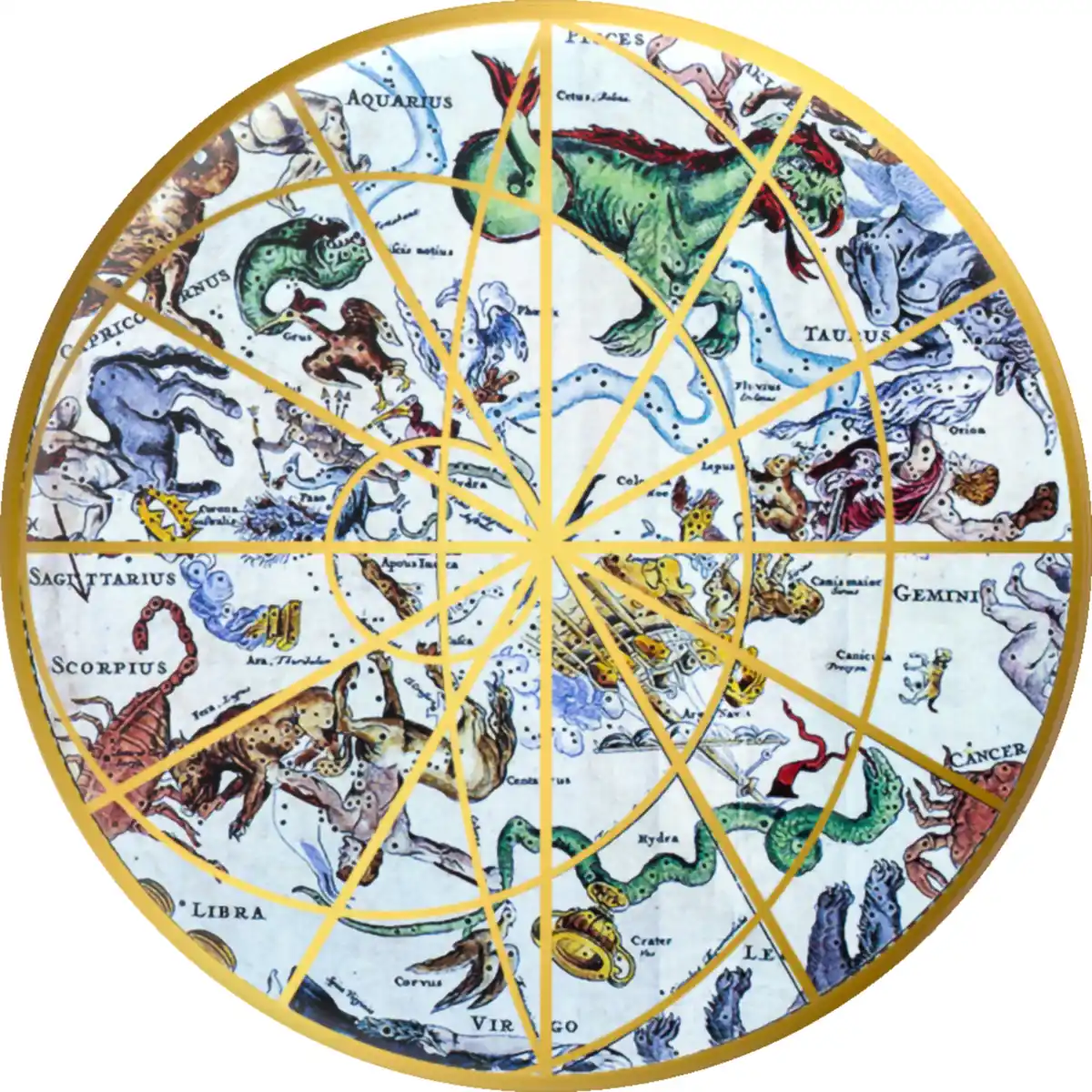 Bild 1 von PopSockets PlantCore Grip The Heavens