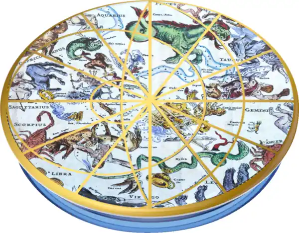 Bild 3 von PopSockets PlantCore Grip The Heavens