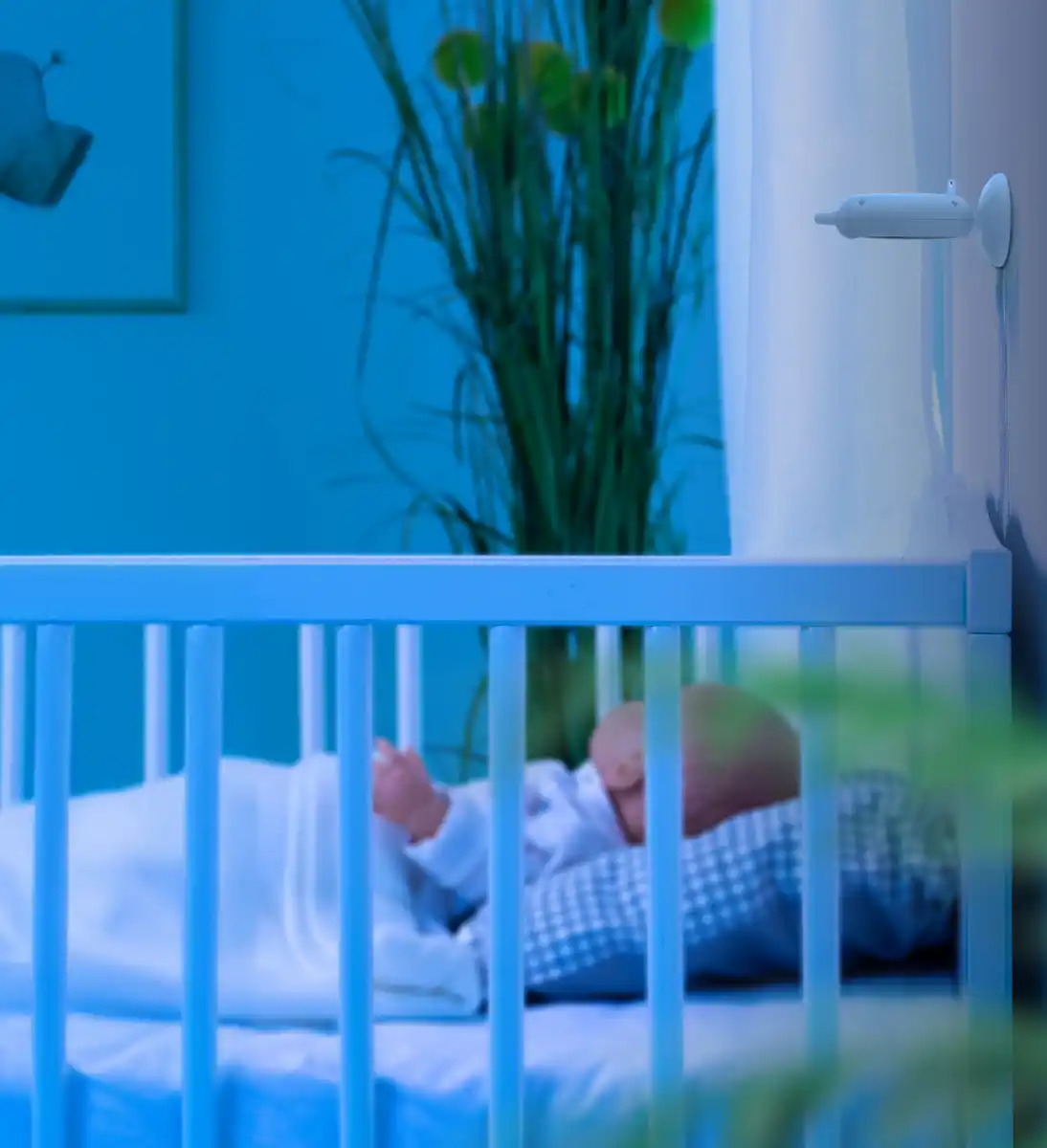 Bild 2 von reer BabyCam S