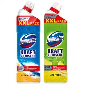 Domestos Kraft & Frische WC Gel