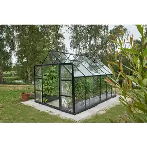 Halls Gewächshaus 'Universal 128' 384 x 257 cm mit 3 mm Sicherheitsglas schwarz