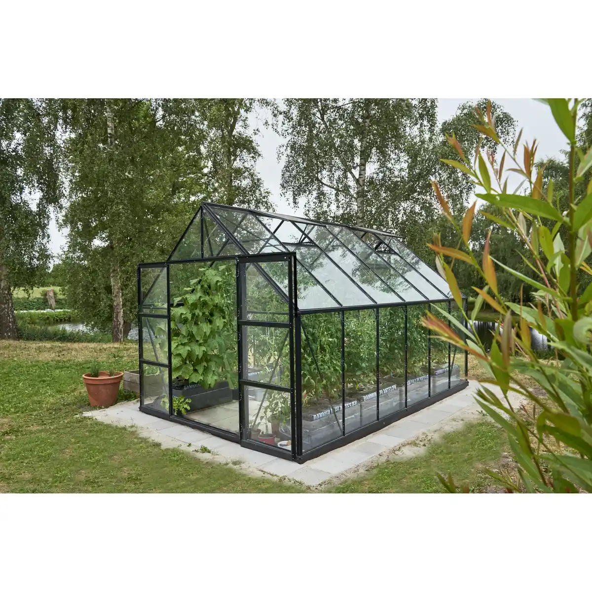 Bild 1 von Halls Gewächshaus 'Universal 128' 384 x 257 cm mit 3 mm Sicherheitsglas schwarz