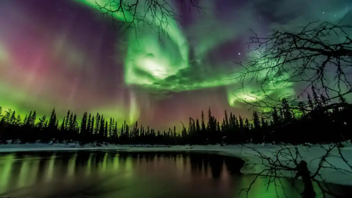 Bild 1 von Rundreisen Schweden: Elche, Eis und ein Schritt über den Polarkreis