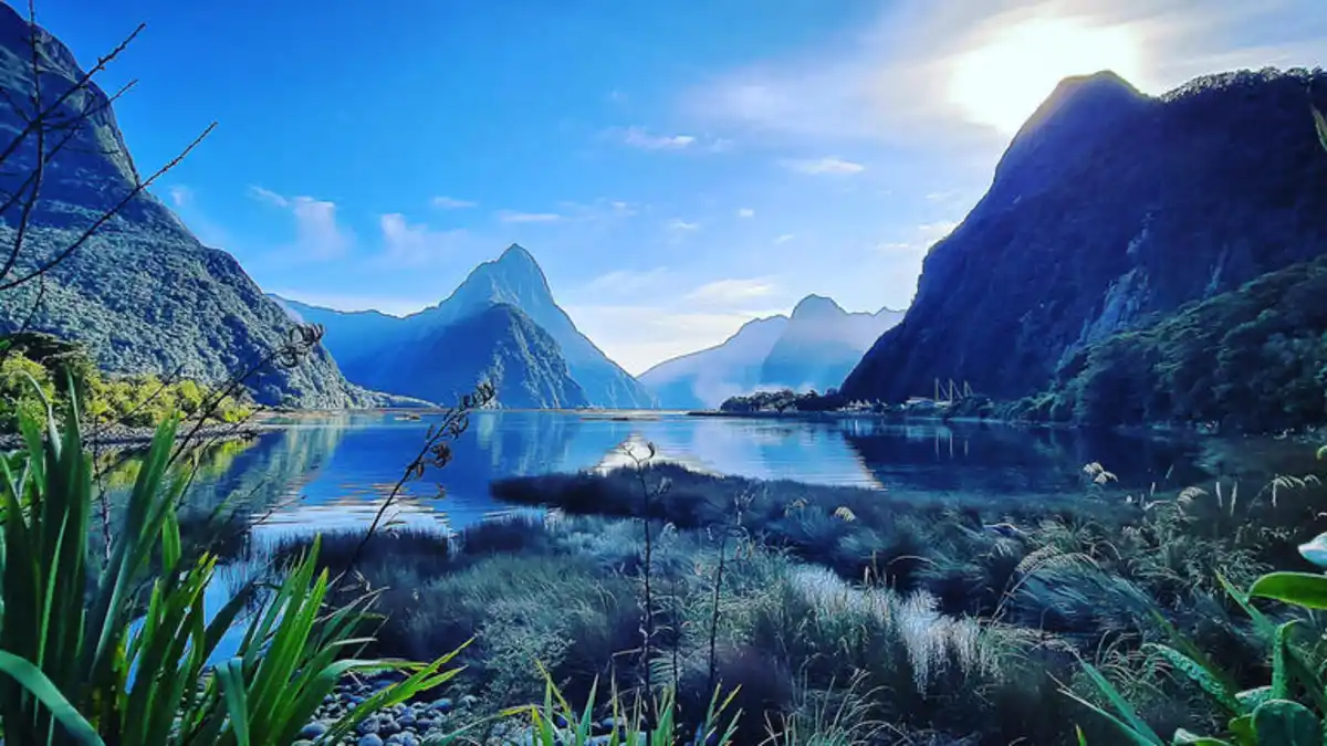 Bild 1 von Rundreisen Neuseeland: Von der wilden Westküste bis zum Milford Sound