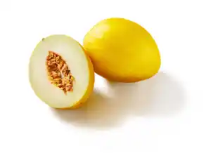 Honigmelone