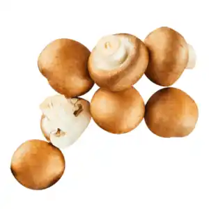 Große Kulturchampignons braun 400g