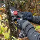 Bild 2 von Scheppach Akku-Gehölzschneider 20V "brushless"