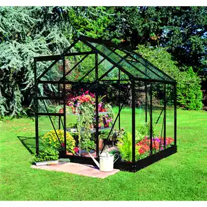 Halls Gewächshaus 'Popular 66' 193 x 195 cm mit 3 mm Sicherheitsglas schwarz