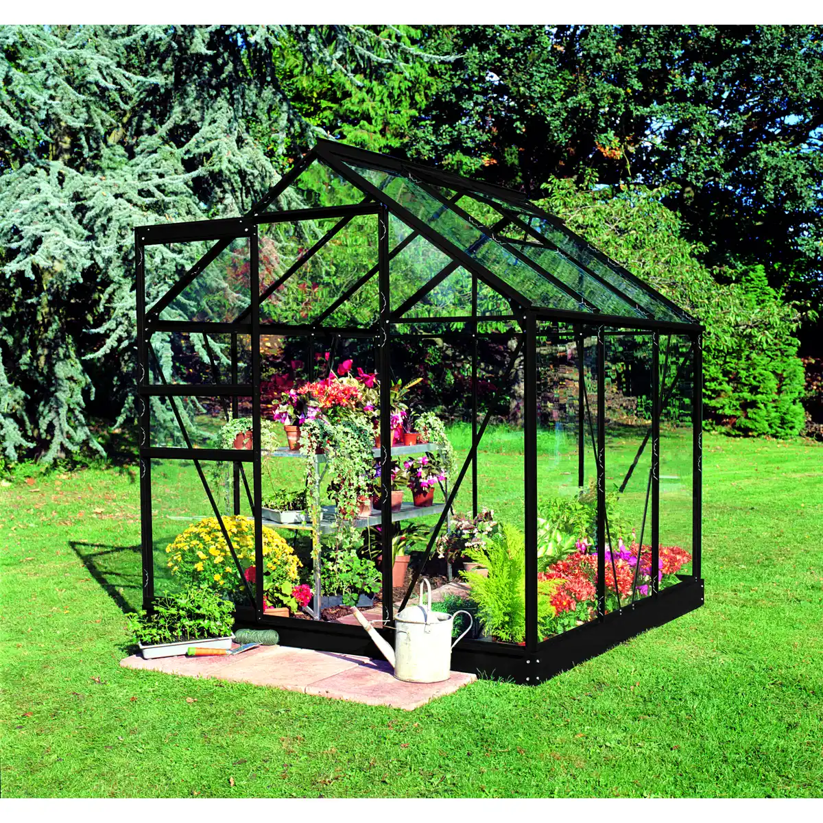 Bild 1 von Halls Gewächshaus 'Popular 66' 193 x 195 cm mit 3 mm Sicherheitsglas schwarz