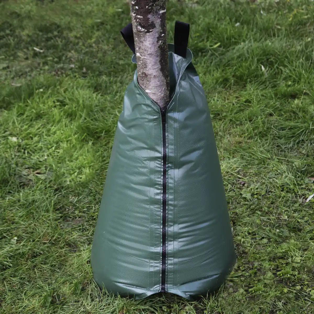 Bild 2 von Bewässerungssack, BxHxL: 92 x 88 x 92 cm