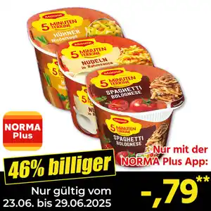 Maggi 5 Minuten Terrine
