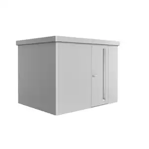 Biohort Gerätehaus 'Neo 2C' silber-metallic 292 x 236 cm mit Standardtür