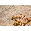 Bild 2 von Betonplatte »Figuera«, Beton, Muschelkalk, LxBxH: 40 x 20 x 4 cm