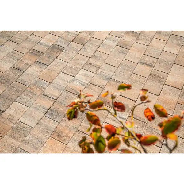 Bild 2 von Betonplatte »Figuera«, Beton, Muschelkalk, LxBxH: 40 x 20 x 4 cm
