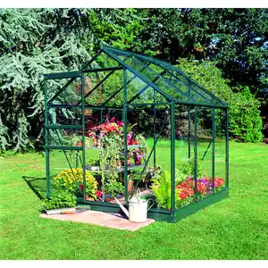 Halls Gewächshaus 'Popular 66' 193 x 195 cm mit 3 mm Sicherheitsglas grün