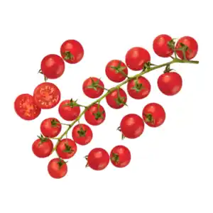 Mini-Roma-Rispentomaten 500g