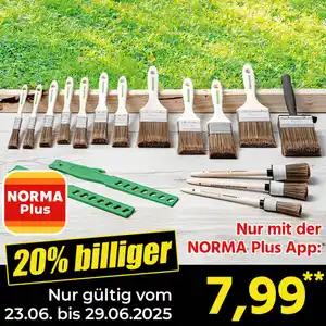 Powertec Color Pinsel-Set "Pro XXL" 17-teilig
