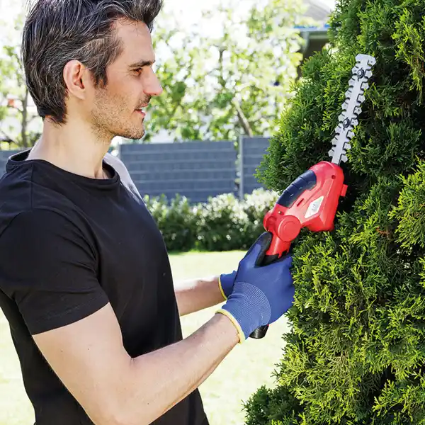 Bild 3 von Walter 12V Li-Ion Akku Gras- und Strauchschere 2in1