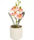 Bild 1 von Kunstblume Orchidee, pink