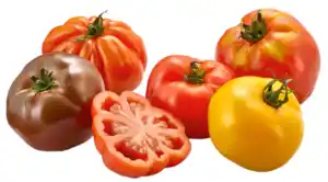 Tomaten Ochsenherzen