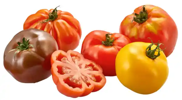 Bild 1 von Tomaten Ochsenherzen