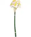 Bild 1 von Kunstblumen Frühling, weiß/gelb