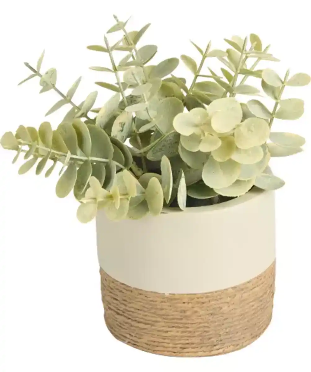 Bild 1 von Kunstpflanze Eukalyptus, grün