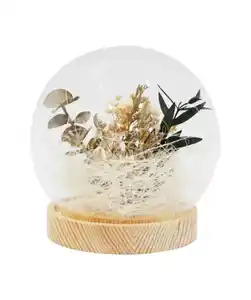 Trockenblumen im Glas, transparent