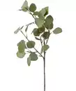 Bild 1 von Kunstzweig Eukalyptus, grün