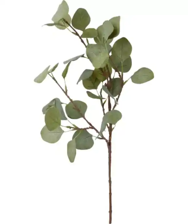 Bild 1 von Kunstzweig Eukalyptus, grün