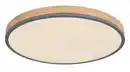 Bild 1 von LED-Deckenleuchte Doro max. 40 Watt Deckenlampe, Opal, Graphitfarben