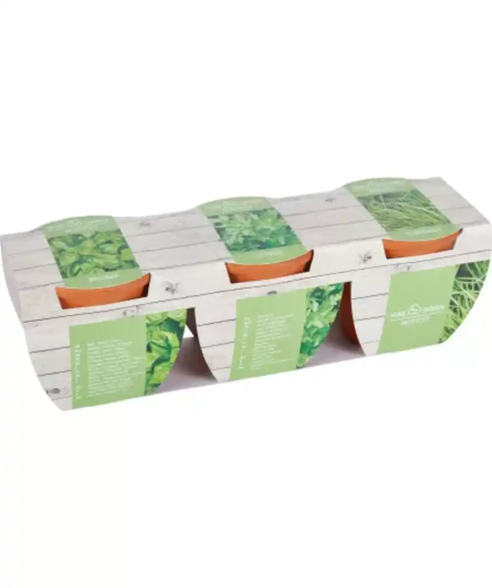 Bild 1 von Anzuchtset Kräuter, braun