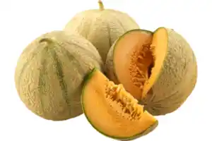 Melone