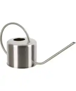 Gießkanne für Zimmerpflanzen, silber