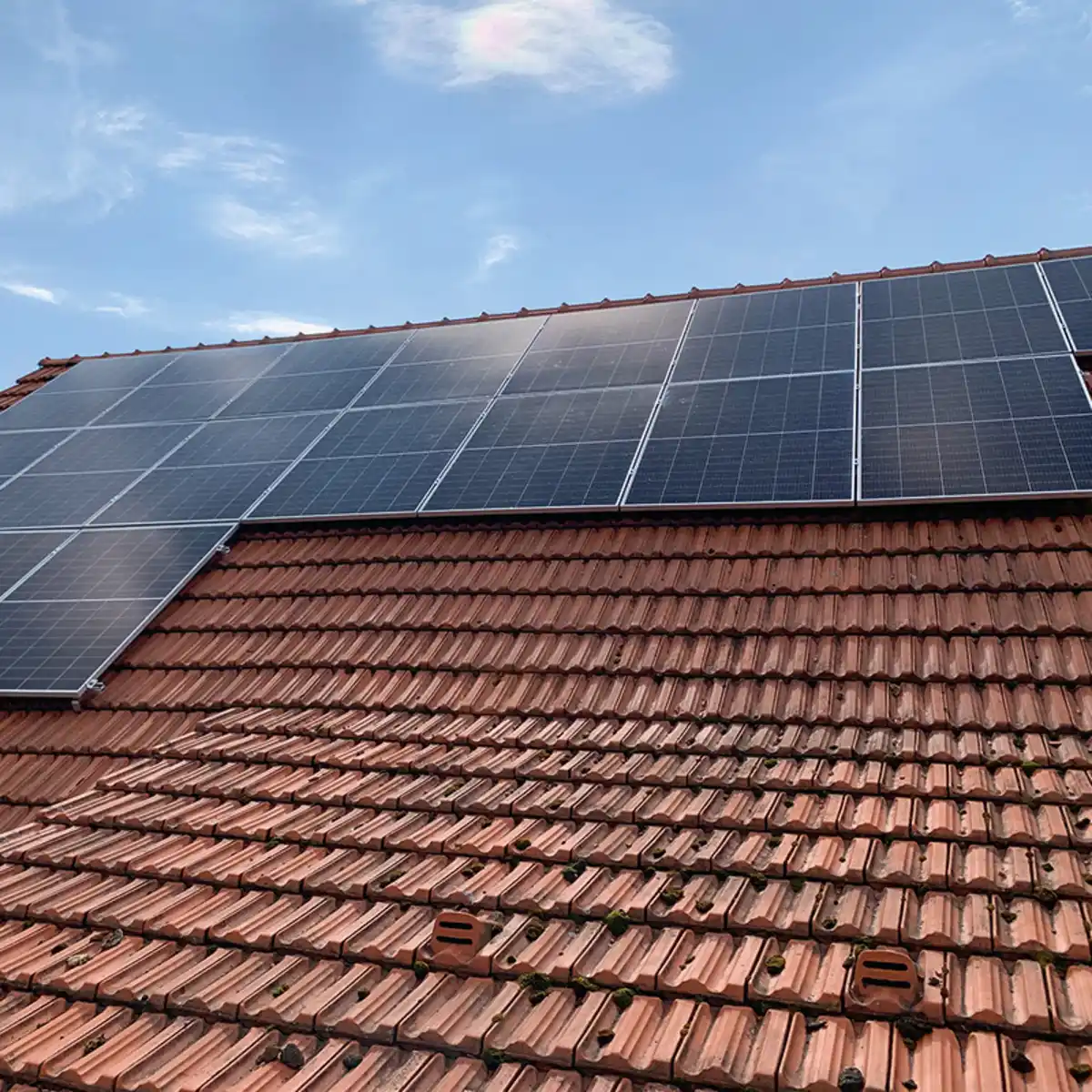 Bild 2 von Diamond Car XXXL-Teleskop-Universal-Waschbürste 5 m