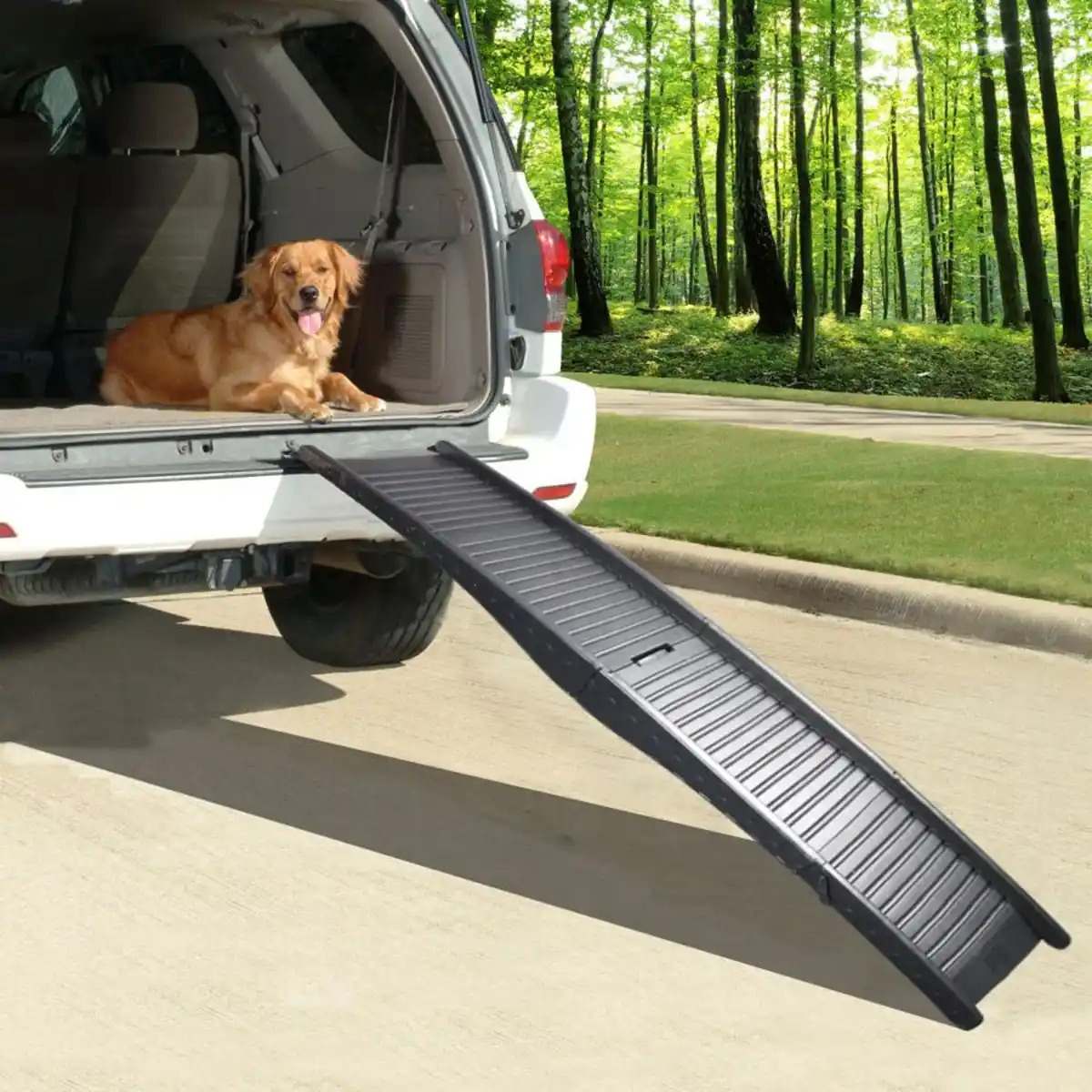 Bild 1 von Faltbare Hunderampe Diese aus Kunststoff bestehende Hunderampe ist die ideale Hilfe für junge und ältere Hunde denen es nicht gelingt