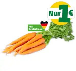 Deutsche Bundmöhren*