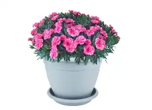 Pflanztopf „Campana“ aus Kunststoff
